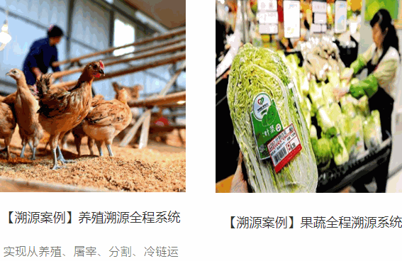 視動(dòng)世紀(jì)