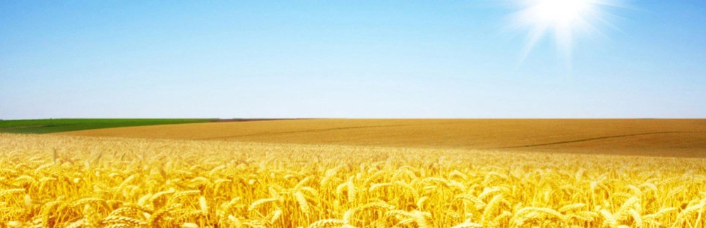 金麥香機(jī)械