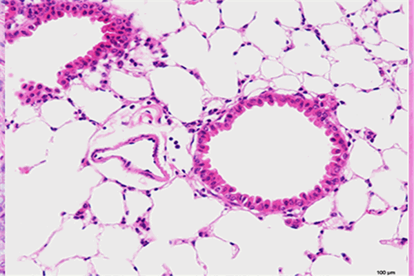 東極生物保健品