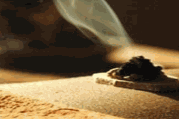 灸中灸中醫(yī)艾灸養(yǎng)生