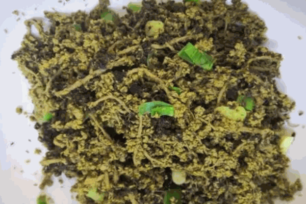 忘憂草粒粒沖劑