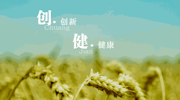 創(chuàng)健食品