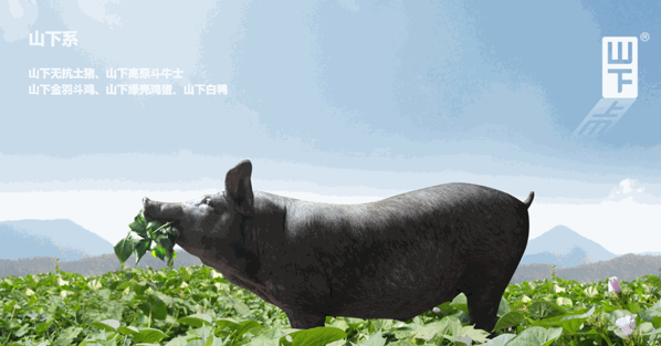 番薯藤生鮮蔬菜