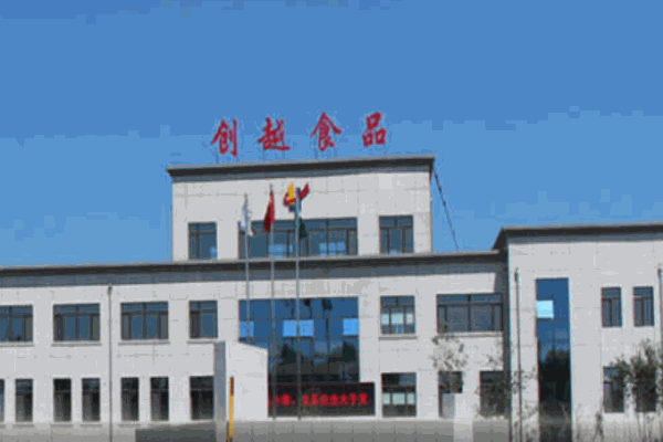 創(chuàng)越食品