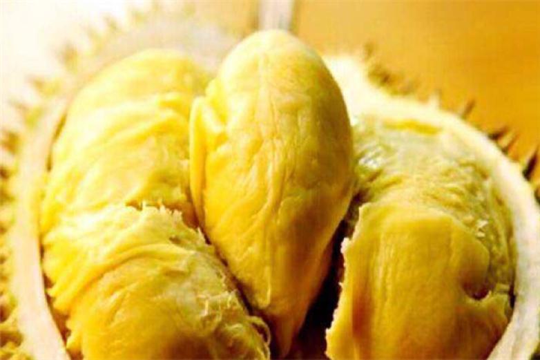 榴蓮?fù)?/></p><p>榴蓮?fù)等谌肓酥惺胶头ㄊ降奶鹌防砟?，秉承?yán)格管控食品的品質(zhì)，科學(xué)嚴(yán)謹(jǐn)?shù)墓ぷ髁鞒蹋_保了制作出來的甜品口感較佳，可以更好的滿足消費(fèi)者的味蕾需求</p><p><p>榴蓮?fù)底詣?chuàng)辦之初就堅(jiān)持“良心用好料，還原老味道”的經(jīng)營(yíng)宗旨，經(jīng)過多年的發(fā)展，儼然成為了甜品行業(yè)內(nèi)十大知名品牌</p></p><p><img src=