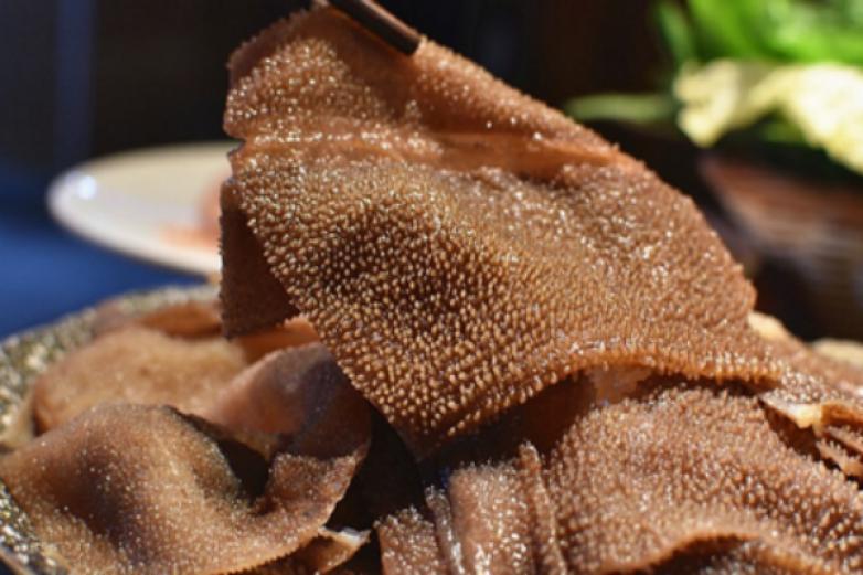 醉火九宮格老火鍋