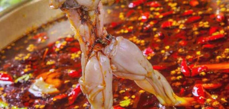 蛙迪卡美蛙魚頭火鍋