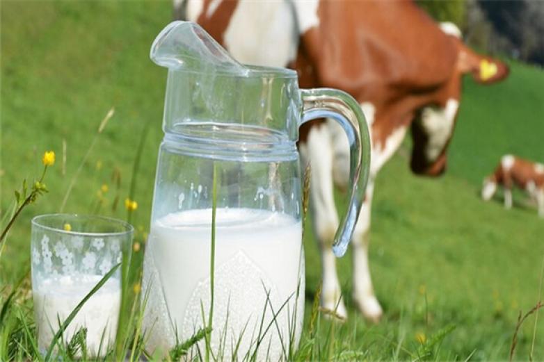 歡樂(lè)牧場(chǎng)鮮奶吧