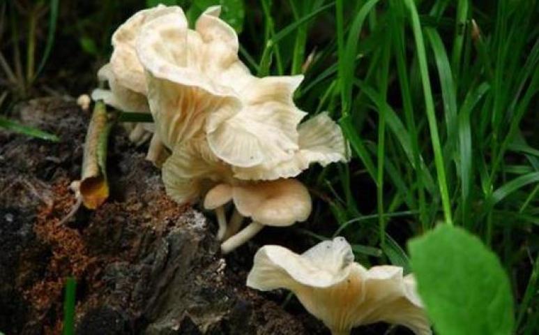 博奧新源商貿(mào)