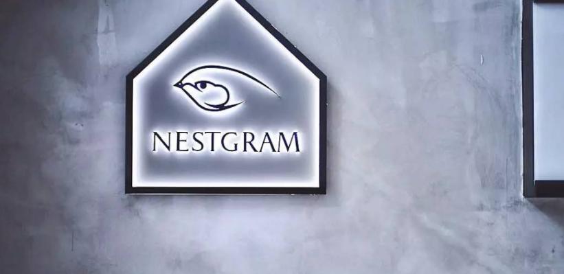 nestgram巢7堂