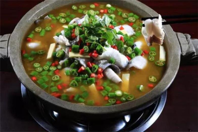 成都苗苗魚(yú)