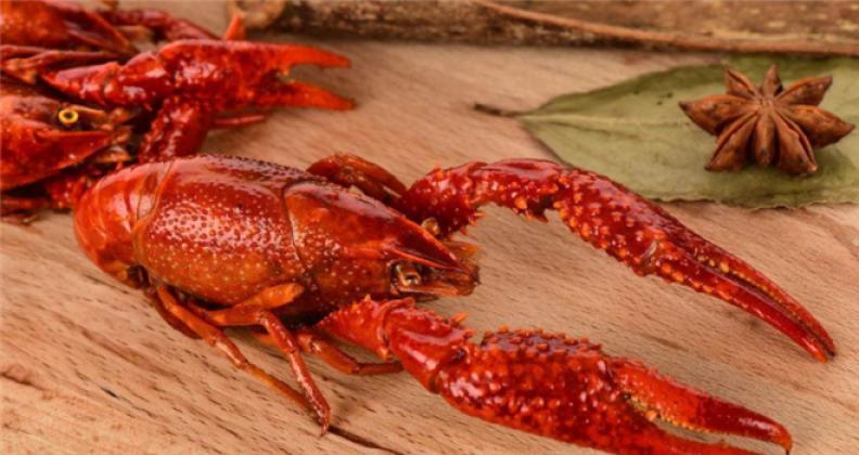 華豐九號小龍蝦