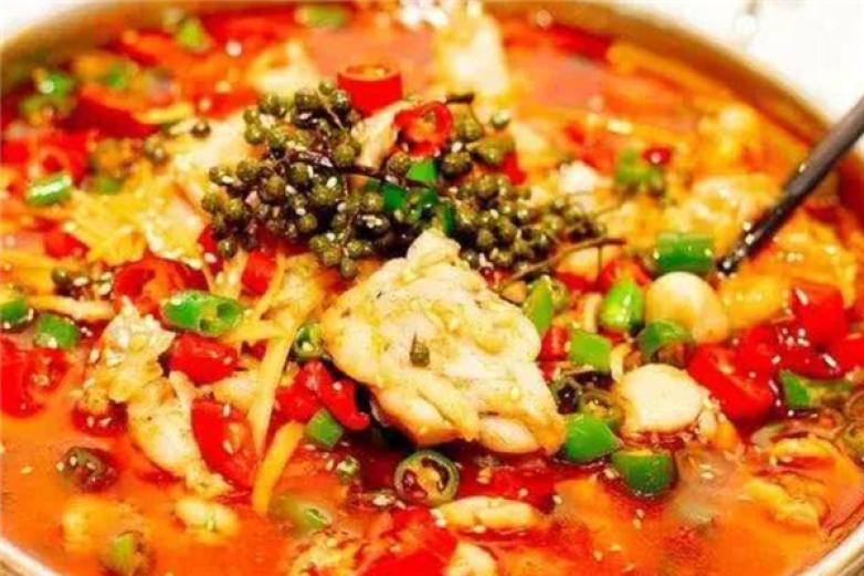 愛(ài)尚波波魚(yú)