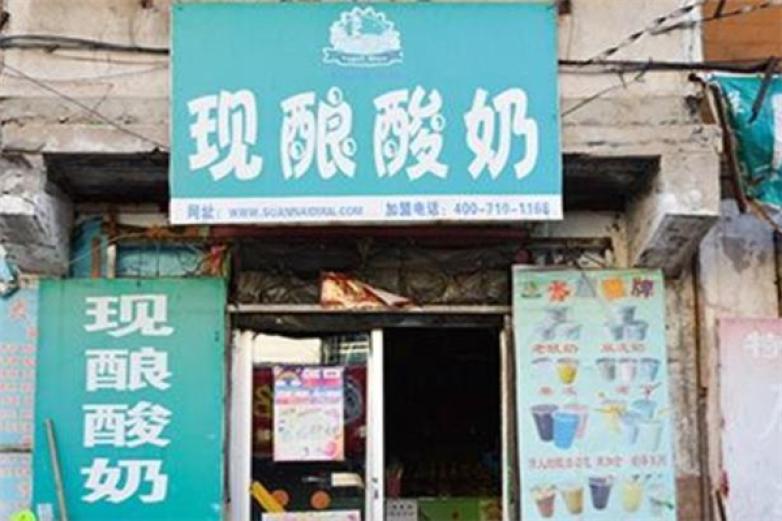 真爽概念現(xiàn)釀酸奶