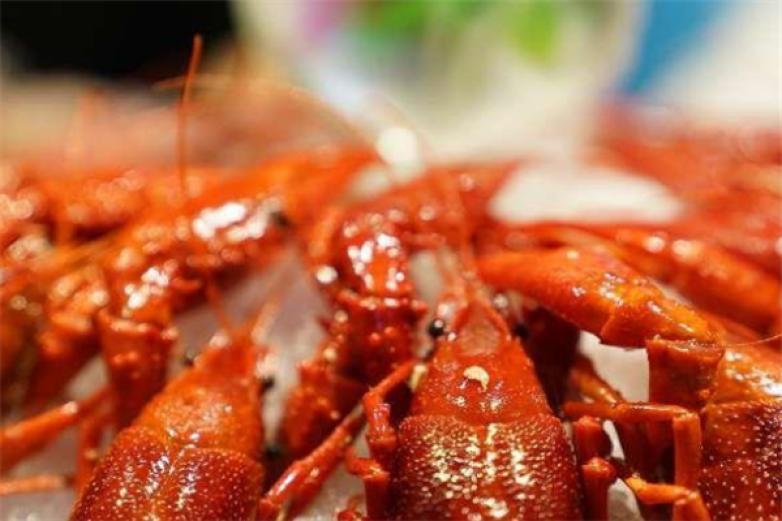 阿甘龍蝦