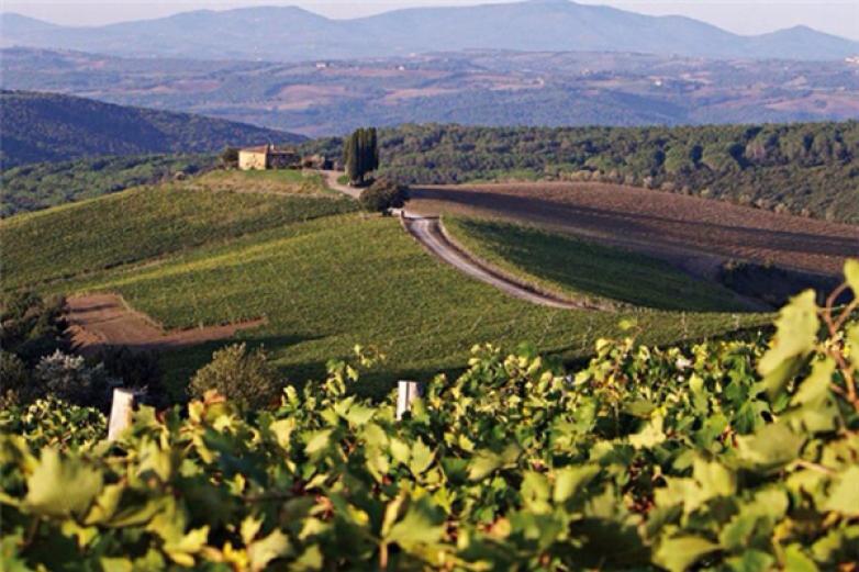 懷來龍騰葡萄酒