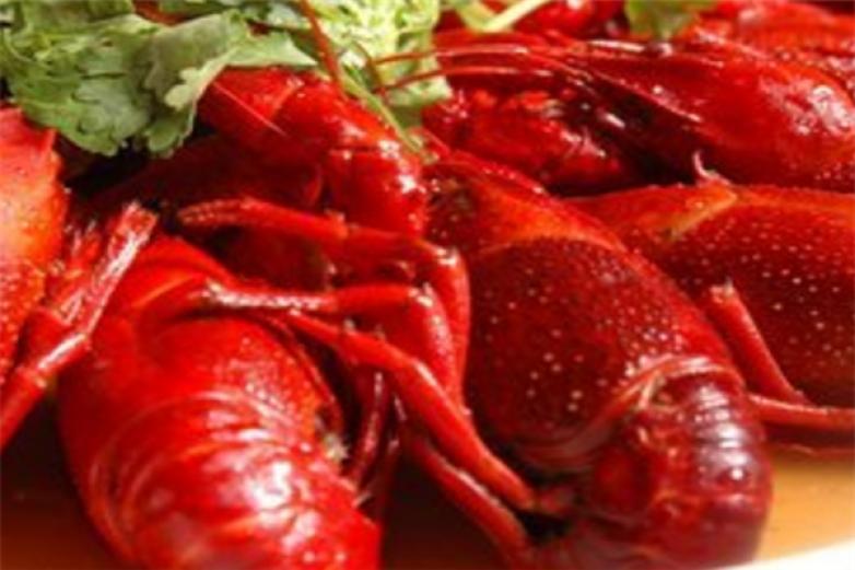 紅功夫小龍蝦