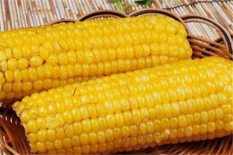 美滋美味烤玉米