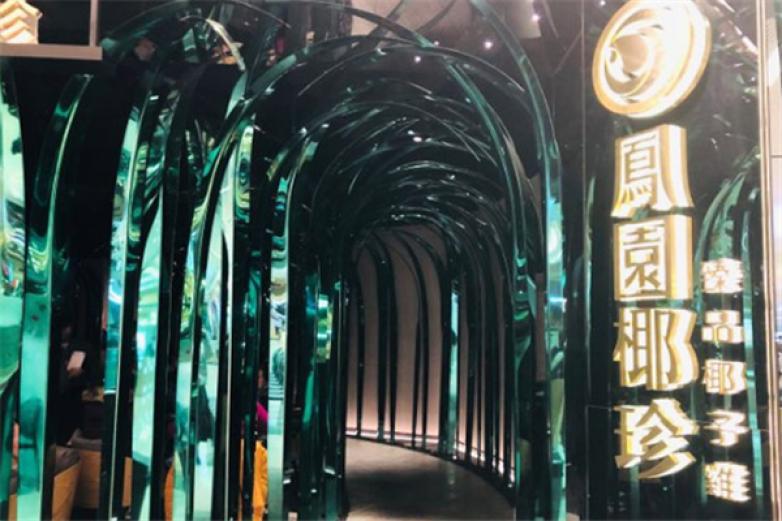 鳳園椰珍椰子雞