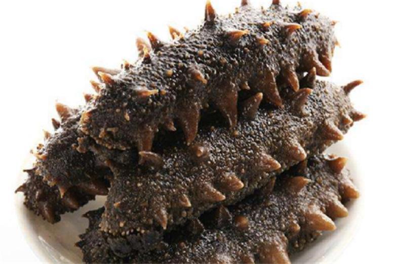 養(yǎng)馬島海參