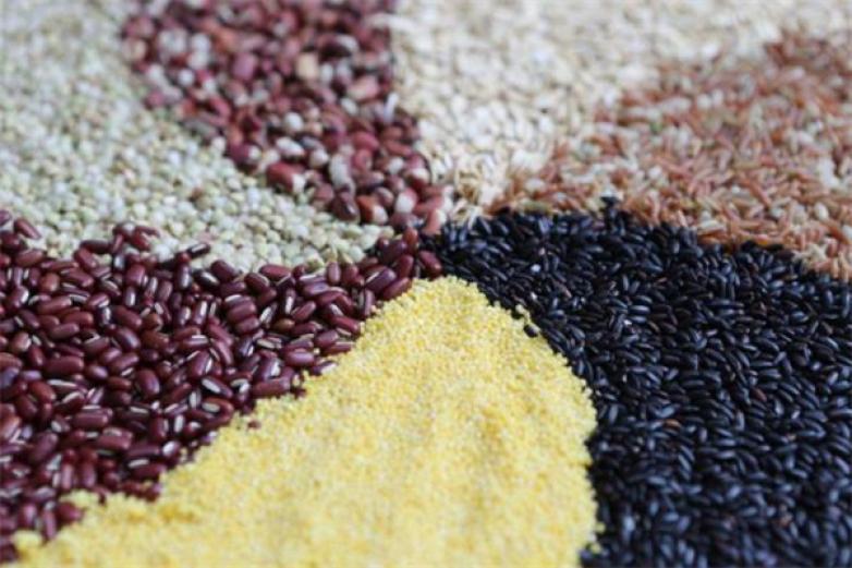 燕之坊五谷養(yǎng)生