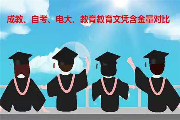 成思遠(yuǎn)景教育