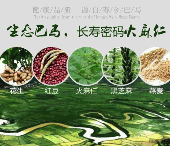 綠道場五谷雜糧飲料