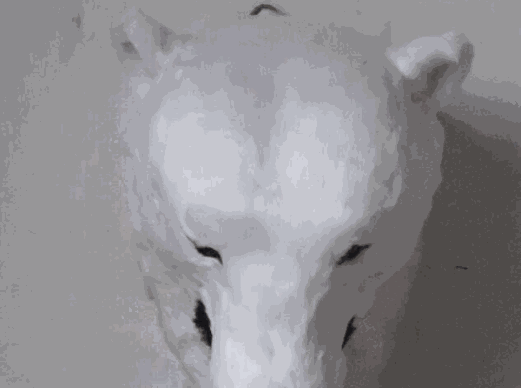 群光皮毛工藝品