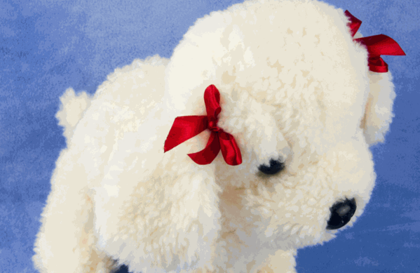 歐標(biāo)國際商貿(mào)