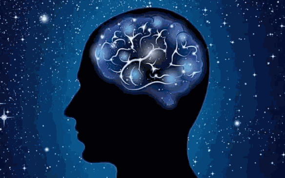 鑫思維全腦教育