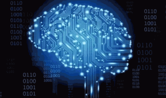 空中天使全腦教育