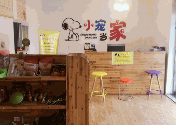 小寵當(dāng)家寵物店
