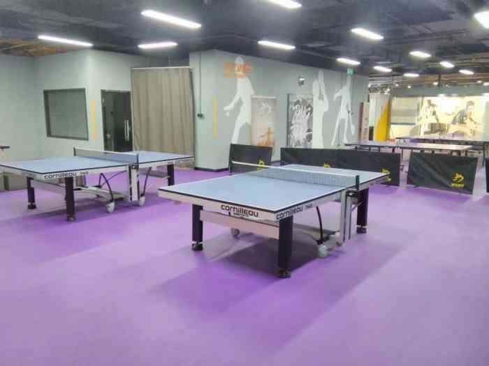 東方翔燁乒乓球教育