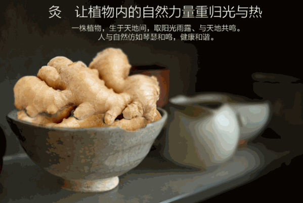 足璽姜艾養(yǎng)護貼保健品