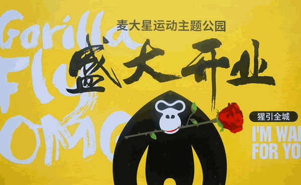 麥大星主題公園