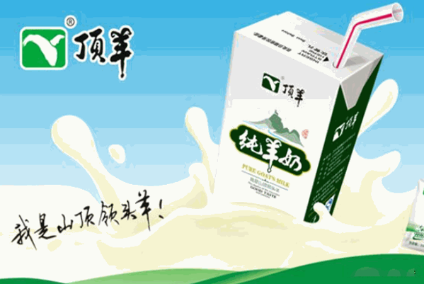 頂羊乳業(yè)