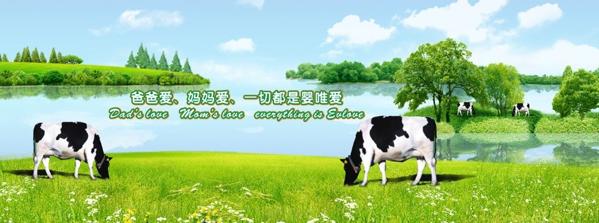 貝樂(lè)能嬰童奶粉