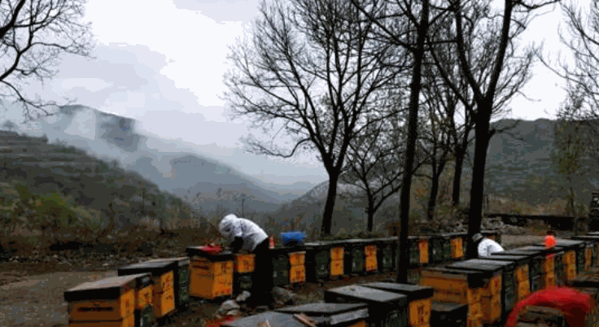 云南華聯(lián)蜂業(yè)