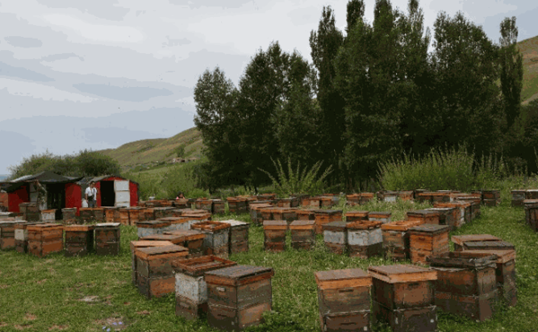 云南華聯(lián)蜂業(yè)