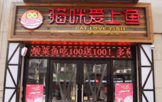 貓咪愛上魚