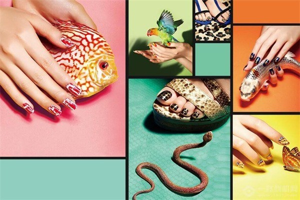 艾手艾腳甲文化