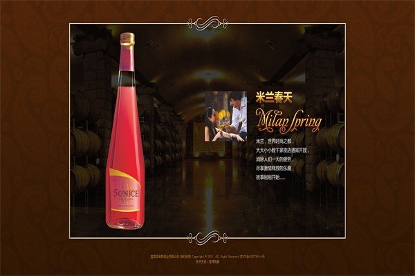 索萊斯酒業(yè)