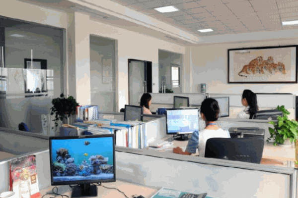 廣全快運快遞物流