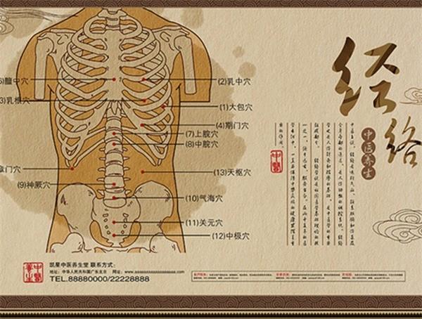 圣法中醫(yī)經(jīng)絡(luò)減肥