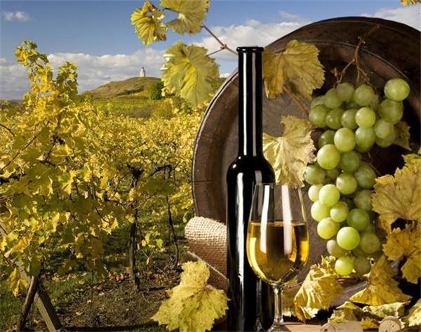 華夏之尊葡萄酒