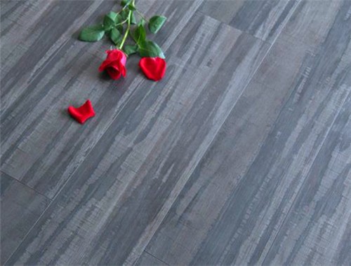 冬日暖陽發(fā)熱地板