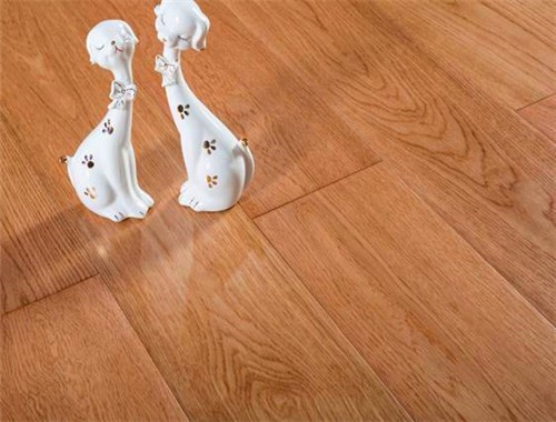 冬日暖陽發(fā)熱地板