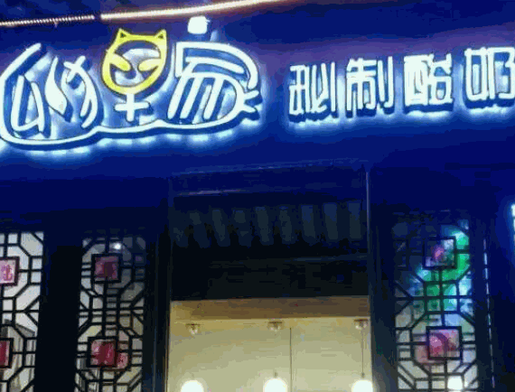 狐貍家秘制酸奶酪