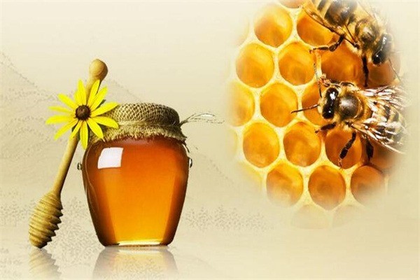 1號(hào)蜂農(nóng)