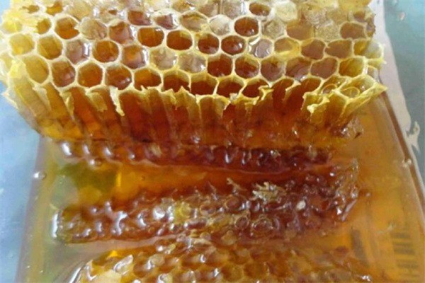 1號(hào)蜂農(nóng)